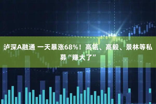 泸深A融通 一天暴涨68%！高瓴、高毅、景林等私募“赚大了”