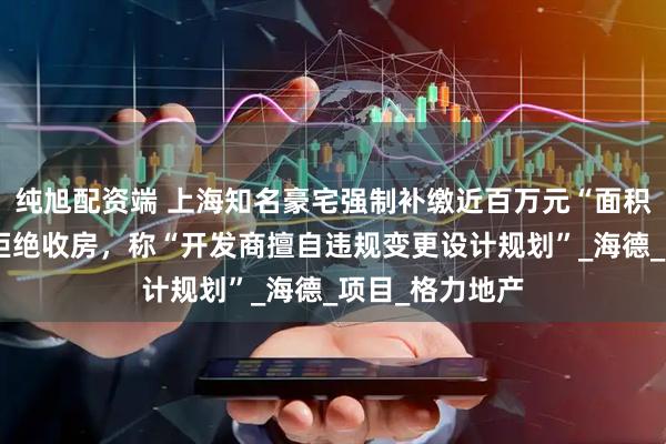 纯旭配资端 上海知名豪宅强制补缴近百万元“面积差价”,业主拒绝收房,称“开发商擅自违规变更设计规划”_海德_项目_格力地产