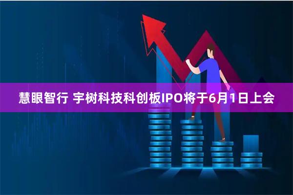 慧眼智行 宇树科技科创板IPO将于6月1日上会